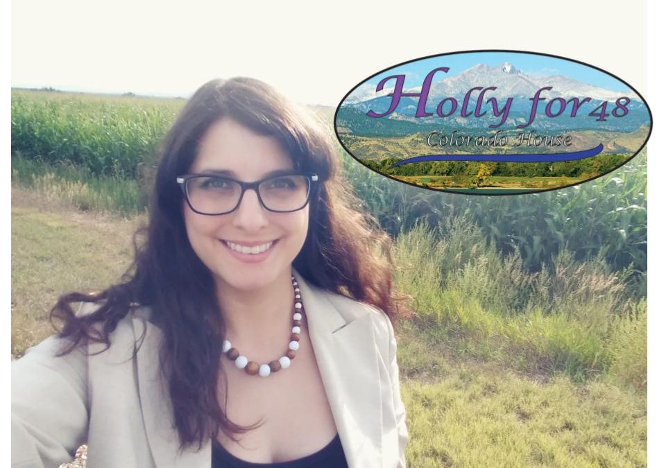 Campaign Signs for Holly Herson (HD 48) are Available!